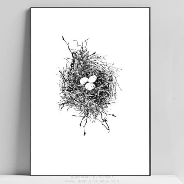 Bird Nest Art Etsy