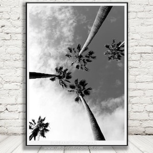 Palmeiras Preto Branco, Fotografia de Decoração Tropical, Arte de Parede, Download Instantâneo Digital, Botânico, Romântico, Califórnia Miami Florida