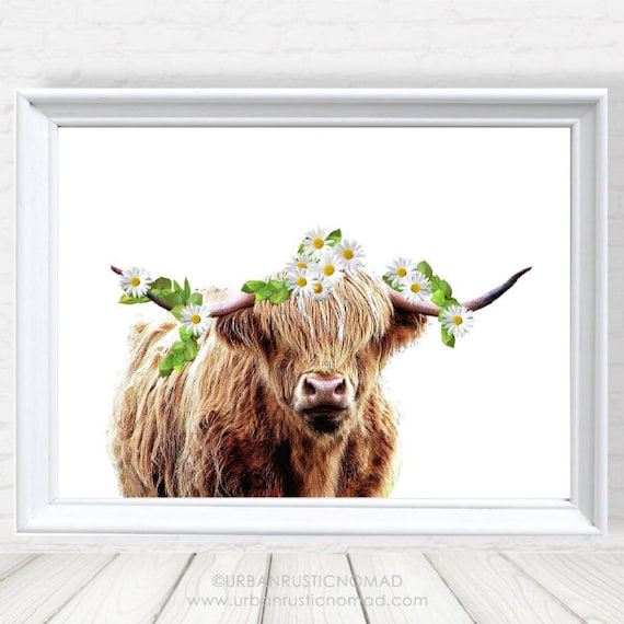 Baby Highland Cow - The Crown Prints