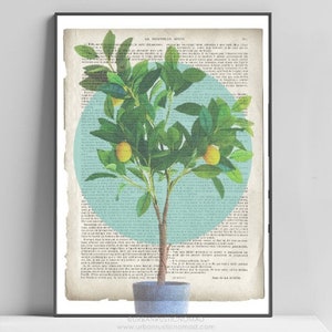 Lemons Art Print, old antique book page, Lemon Tree Topiary, Vintage upcycled Wall Art Print, French, Provence, Yellow, Duck Egg Blue Print