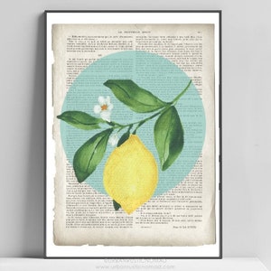 Lemons Art Print, old antique book page, Lemon Blossom, Vintage upcycled Wall Art Print, French, Provence, Yellow, Duck Egg Blue Print