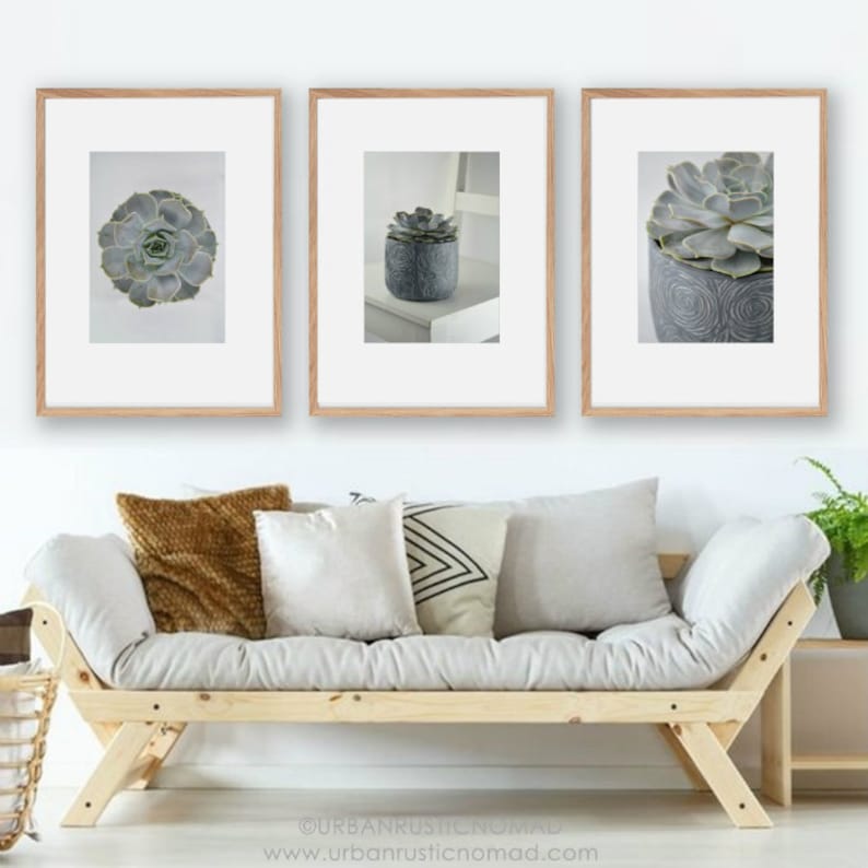 Cactus Succulents Grey White Photography Wall Art Digital - Etsy