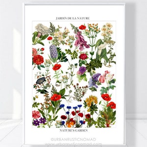 Vintage Flowers Print, Floral Print, Wildflowers, Botanical Home Decor, Flower Garden Illustration, Kitchen Wall Art, Kitchen, French Jardin