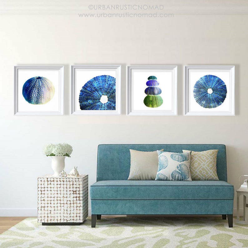 Sea Urchin Wall Art Print Set of 4, Coastal Photography, Printable Digital Download, Ocean Water
