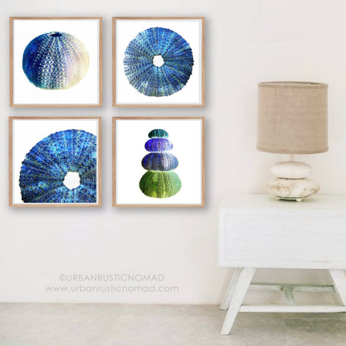 Sea Urchin Wall Art Print Set of 4, Coastal Photography, Printable Digital Download, Ocean Water