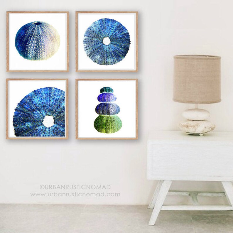 Sea Urchin Wall Art Print Set of 4, Coastal Photography, Printable