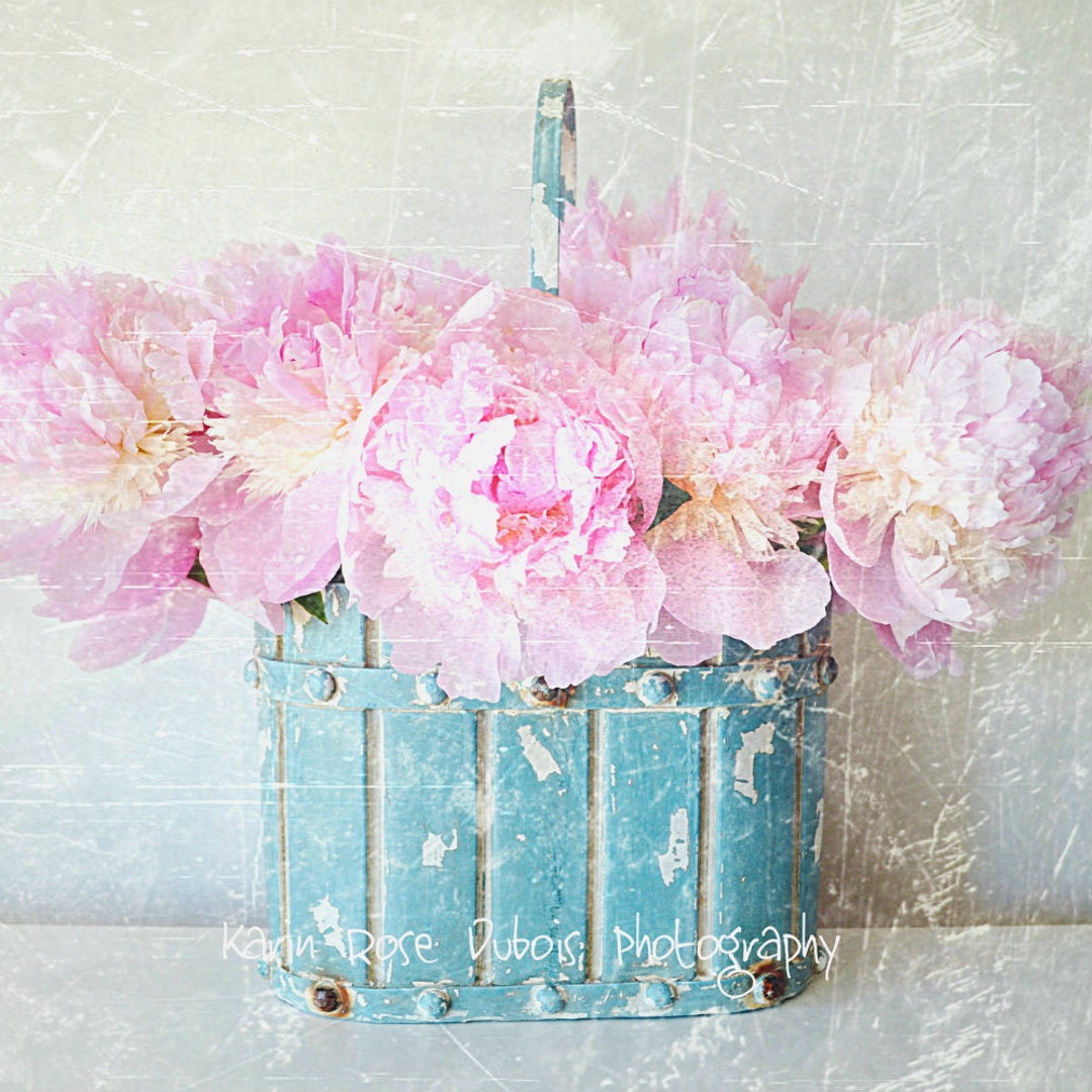 Pink Peonies Photography Print: Shabby Chic Turquoise Decor (instant ...