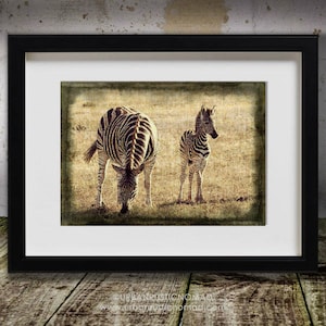 African Zebra baby & mum weathered sepia digital print. Wall Art. Instant download. Savannah. Vintage. Wildlife Animals. Home decor. Safari.