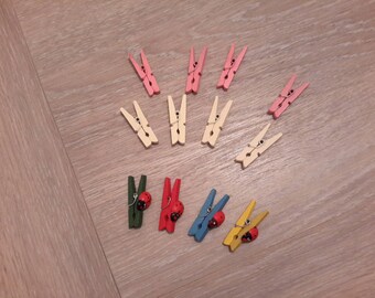 Set of 12 mini clothespin for embellishment
