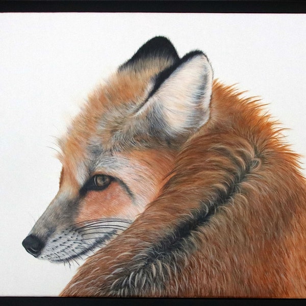 Original Art painting Renard Roux - Fox- Goupil - Peinture Animalière