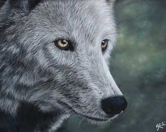 Original Art Pastel sec Loup 30x40cm