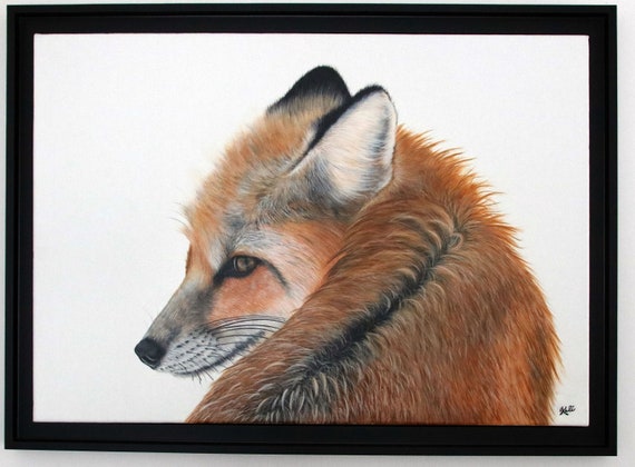 FOX renard roux et kit peinture de renard imprimé renard art réaliste  peinture animalière -  Canada