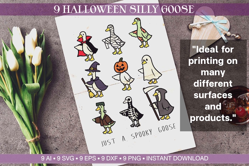 May include: A white card with nine cartoon geese dressed in Halloween costumes. The geese are in various costumes, including a vampire, mummy, witch, pumpkin, and grim reaper. Text on the card reads "9 Halloween Silly Goose" and "Just a Spooky Goose."