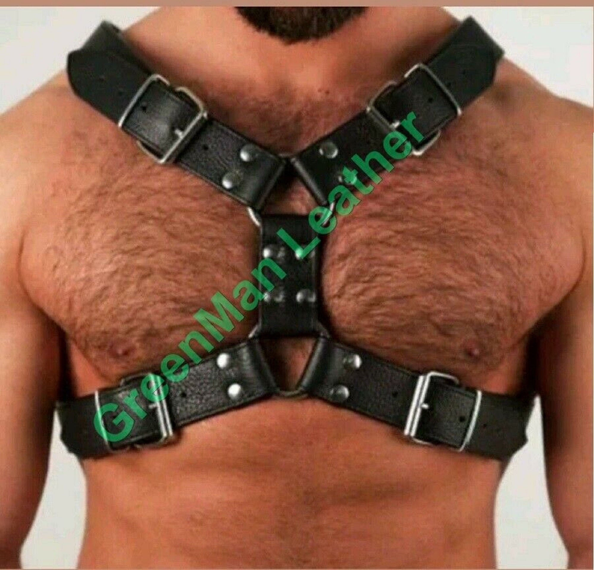bulldog leather harness