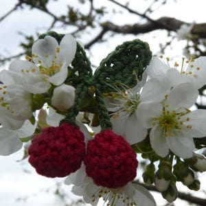 une paire de cerises rouges en 3D au crochet image 3