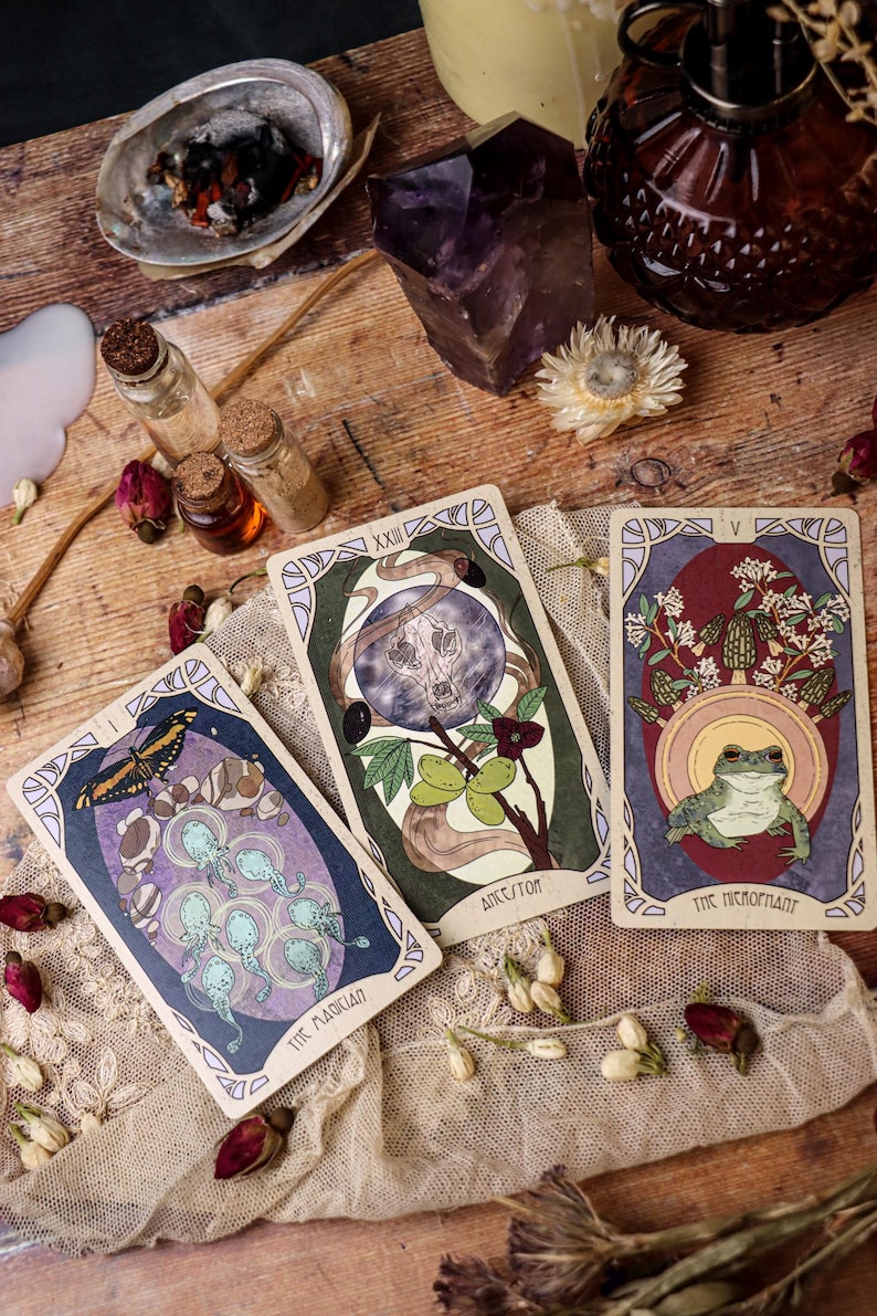 May include: Three tarot cards with detailed illustrations of a butterfly, a skull, and a frog. The cards are on a wooden surface with dried flowers, crystals, and small glass bottles. The cards are labelled "The Magician", "XXIII", and "The Hierophant".