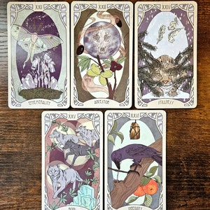 Forager's Daughter Tarot: Afterlight Edition Deck & Printed Guidebook, Deluxe Divination Set image 10