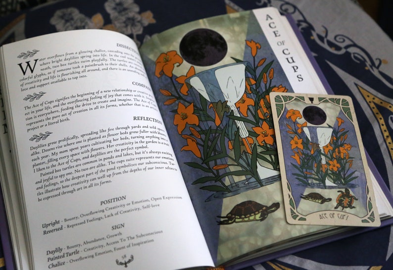 A sample of the interior of the book. Full page of writing along with full color images of each card.