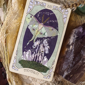 Forager's Daughter Tarot: Afterlight Edition Deck & Printed Guidebook, Deluxe Divination Set image 6