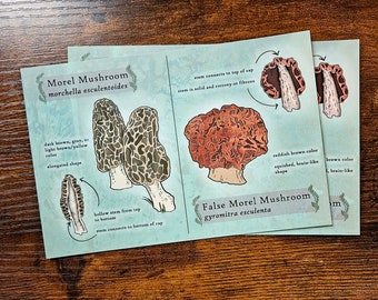 Morel Mushroom Foraging Postcard