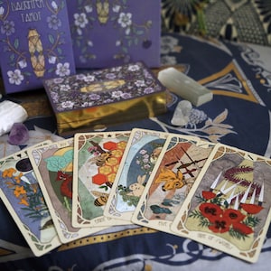 Forager's Daughter Tarot: Afterlight Edition Deck & Printed Guidebook, Deluxe Divination Set image 4