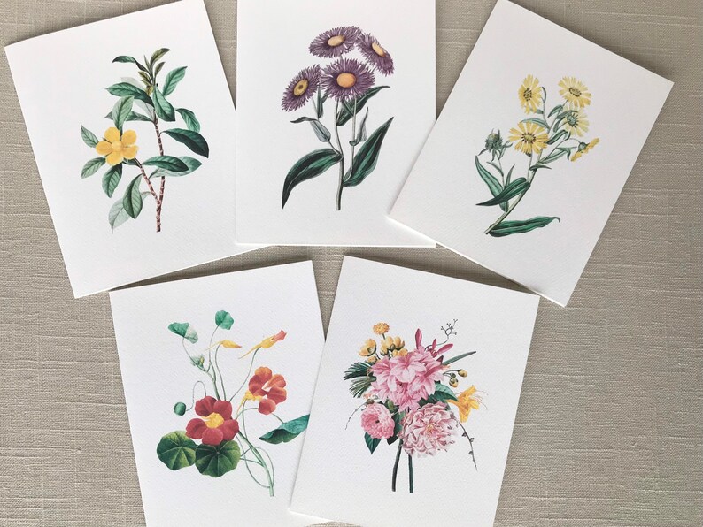 May include: Five cards with different floral illustrations. Each card features a single type of flower with green leaves. The flowers include purple asters, yellow daisies, pink peonies, yellow jasmine, and red nasturtiums.