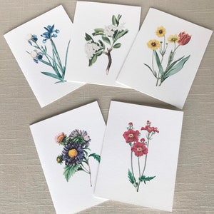 May include: Five blank greeting cards with different floral illustrations. Each card features a single type of flower, including blue irises, white blossoms, yellow flowers, red flowers, and purple asters.