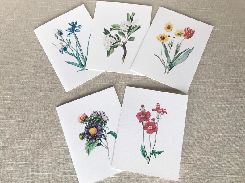 May include: Five blank greeting cards with different floral illustrations. Each card features a single type of flower, including blue irises, white blossoms, yellow flowers, red flowers, and purple asters.