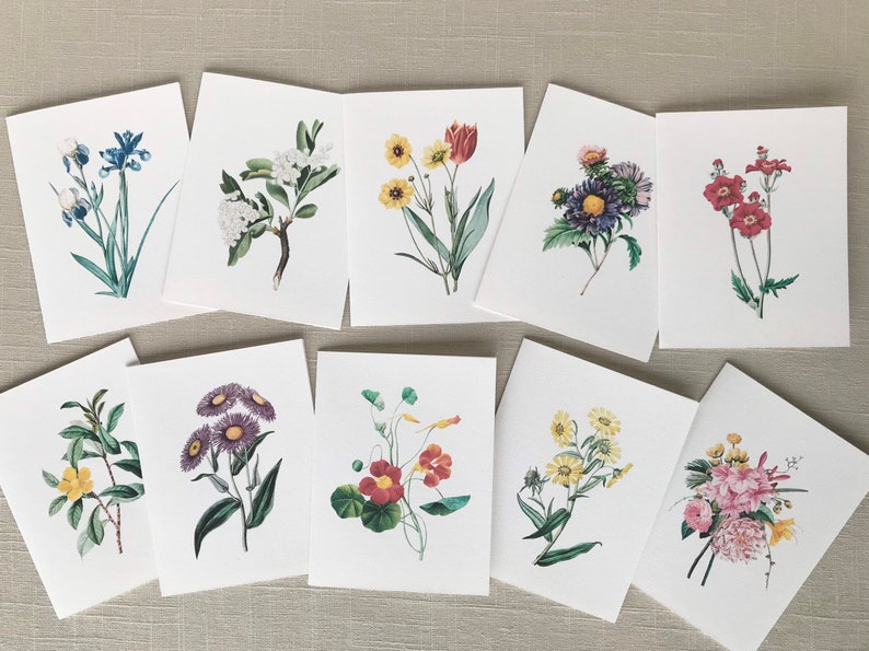 May include: Ten cards with different floral illustrations. Each card features a single type of flower, including irises, white blossoms, tulips, daisies, and more. The flowers are depicted in a vintage style with delicate details.
