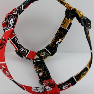 Pu&ograve; includere: Un'imbracatura per cani con un motivo ripetuto di rosso e nero con accenti bianchi. L'imbracatura presenta anche un motivo ripetuto di nero e oro con accenti bianchi. L'imbracatura ha fibbie in plastica nera e cinghie regolabili.