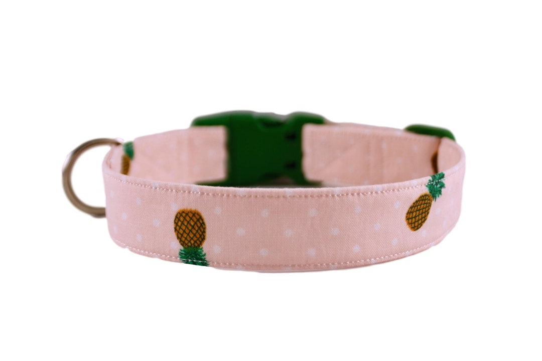 Pineapple Paradise Collar, Pineapple Dog Collar, Pink Collar, Summer