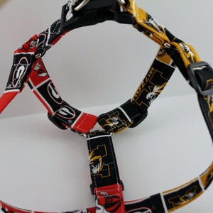 Pu&ograve; includere: Un'imbracatura per cani con un motivo nero, rosso e oro. L'imbracatura presenta un motivo ripetuto di loghi e testo. L'imbracatura ha fibbie in plastica nera e cinghie regolabili. L'imbracatura &egrave; progettata per un cane di taglia piccola o media.