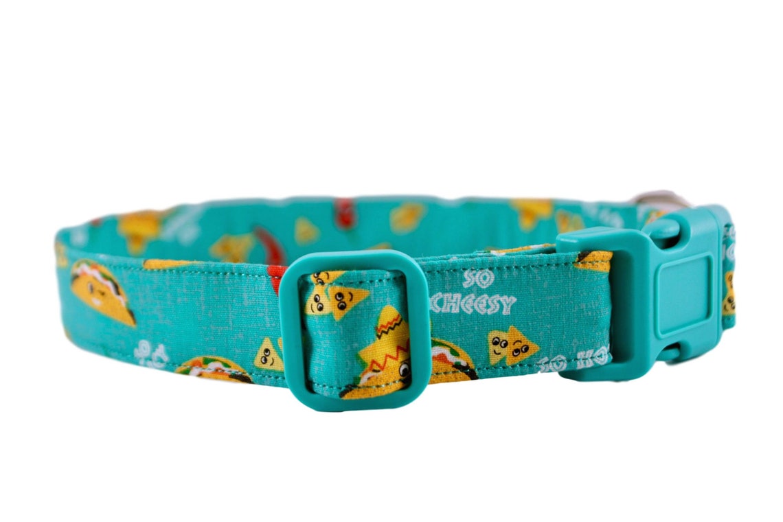 Taco Tuesday Collar Tacos Dog Collar Teal Collar Food Dog Etsy