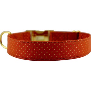 Pumpkin & Gold Polka Dot Collar, Orange Personalized Dog Collar, Polka Dot Collar, Harvest Embroidered Collar, Fall Custom Collar, Autumn