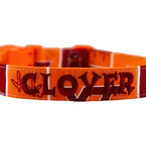 May include: An orange and maroon dog collar with the name "CLOVER" embroidered in dark maroon thread. The collar features a repeating pattern of orange and maroon stripes and a bird logo.