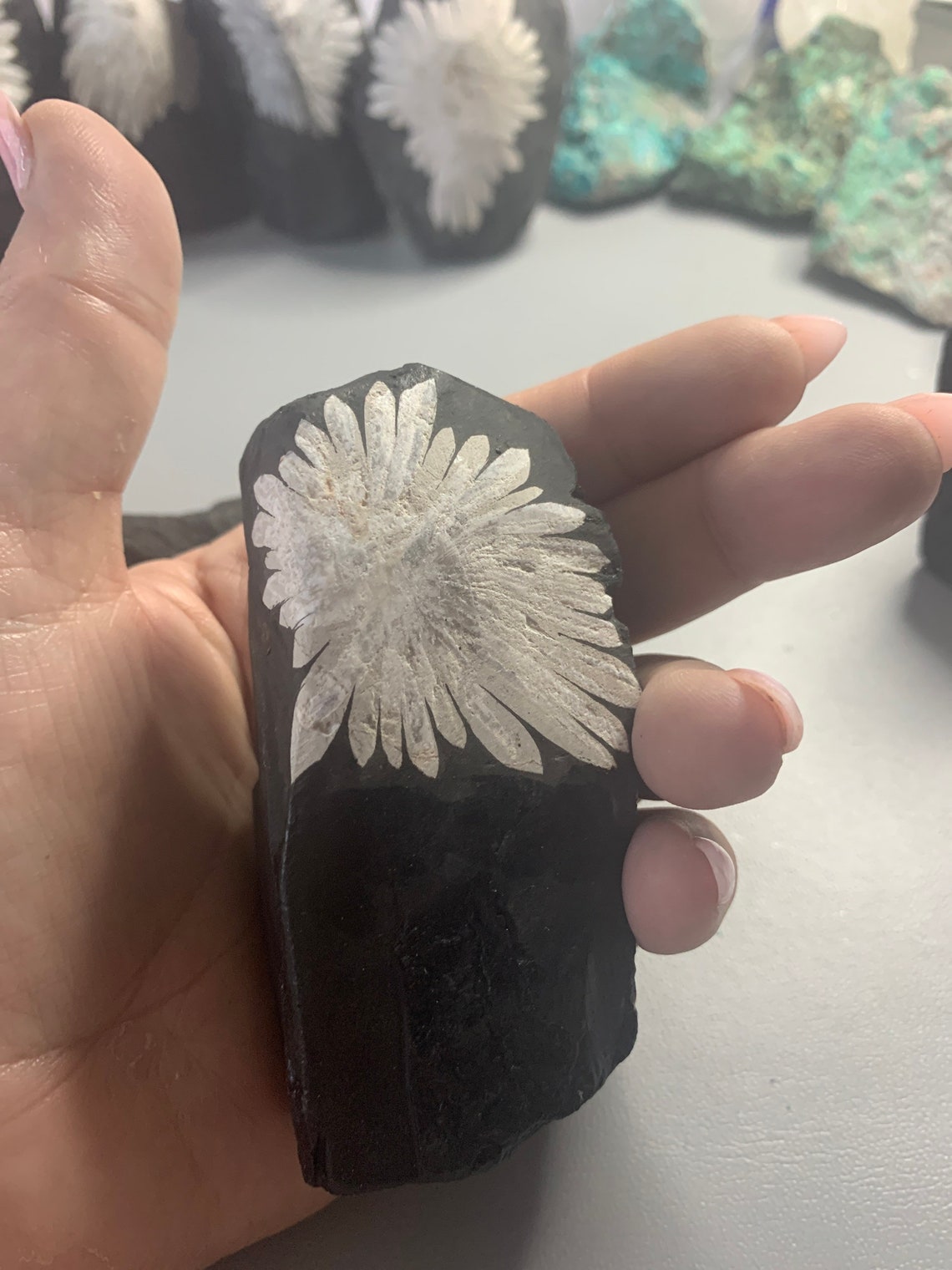 Chrysanthemum stone flower stone | Etsy