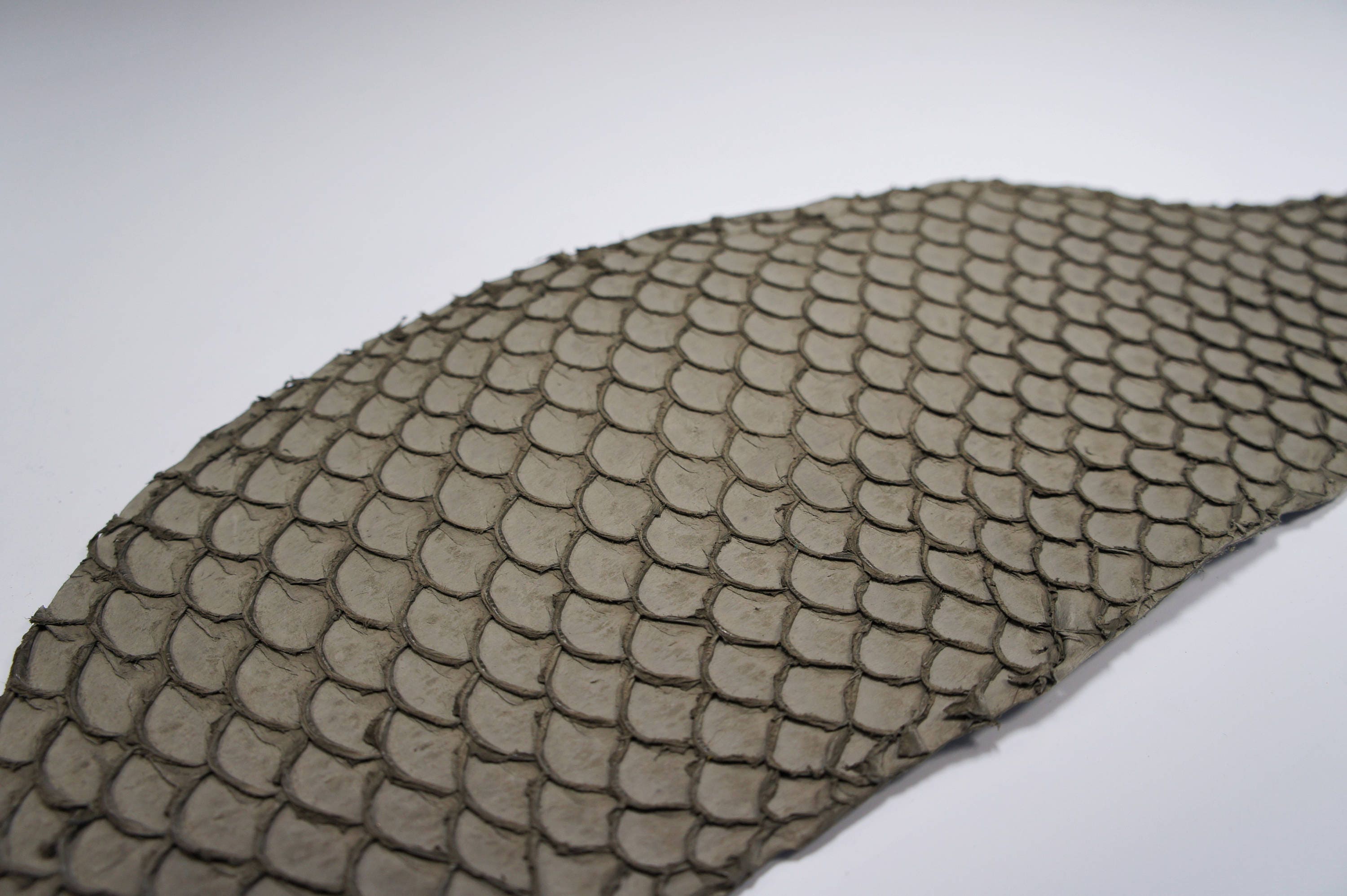 Gray leather Exotic fish leather Fish leather Fish hide Fish Etsy