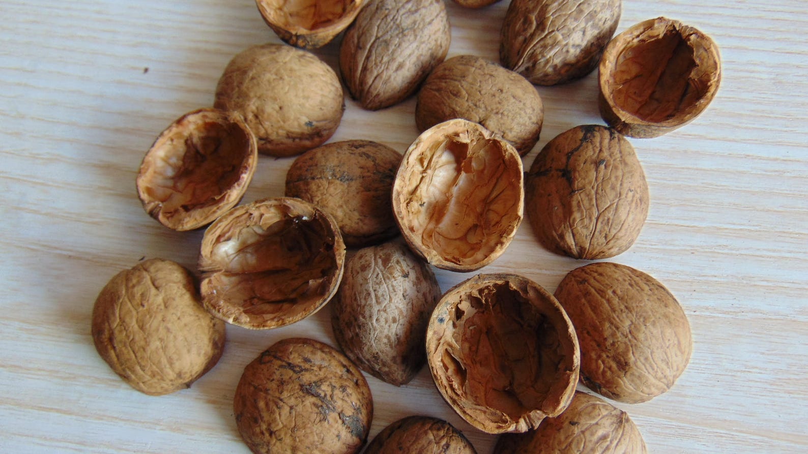 Walnut shell halves Christmas Tree Ornament Walnut Slices image 1.