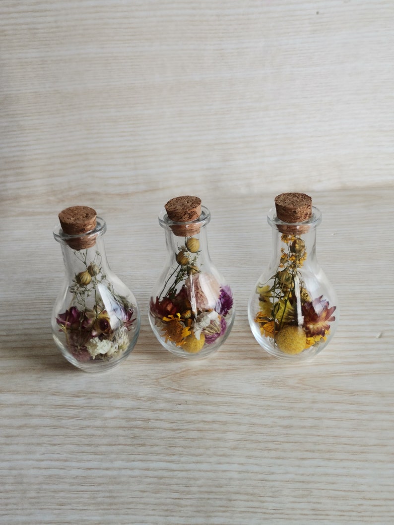 Set of 15 Dried Flowers in a Glass Bottle Dried Flowers in Etsy