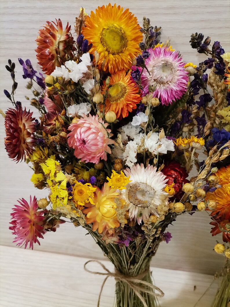 Set of 5 Dried Flower Bouquets Natural Decorvase Filler Etsy