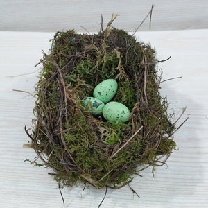 Authentic bird nest, Real bird's nests, Amazing natural nest, Bird Nest , Natural Bird Nest , Home Decor , Crafts Supply , Baby Birds image 3
