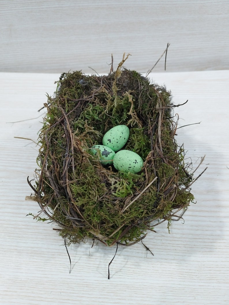 Authentic bird nest, Real bird's nests, Amazing natural nest, Bird Nest , Natural Bird Nest , Home Decor , Crafts Supply , Baby Birds image 3