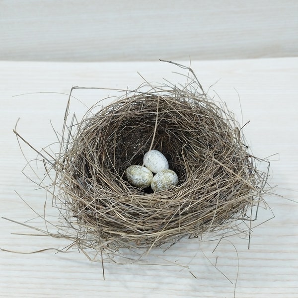 Real Small Bird Nest, Amazing natural nest, Bird Nest, Natural Bird Nest, Ornithologist’s collection, Home Decor , Crafts Supply, Baby Birds