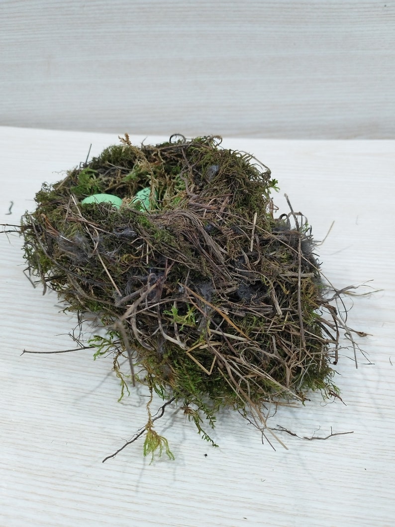 Authentic bird nest, Real bird's nests, Amazing natural nest, Bird Nest , Natural Bird Nest , Home Decor , Crafts Supply , Baby Birds image 4