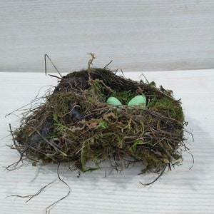 Authentic bird nest, Real bird's nests, Amazing natural nest, Bird Nest , Natural Bird Nest , Home Decor , Crafts Supply , Baby Birds image 2