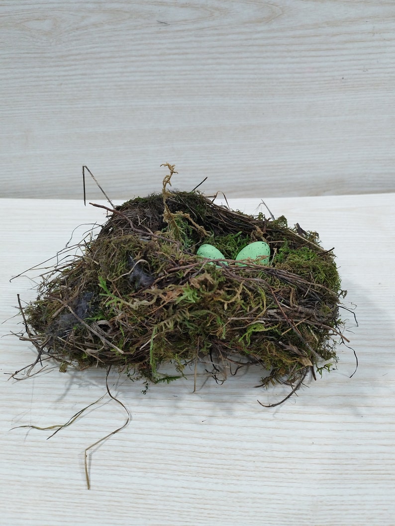 Authentic bird nest, Real bird's nests, Amazing natural nest, Bird Nest , Natural Bird Nest , Home Decor , Crafts Supply , Baby Birds image 2