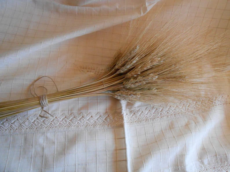 Decorative Wheat Dried Wheat Bundles Dried wheat bunch Etsy