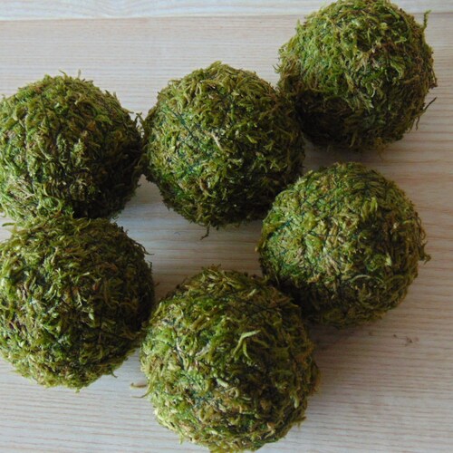 Set of 6 Moss Covered Balls Moss Balls Rustic Decor Etsy
