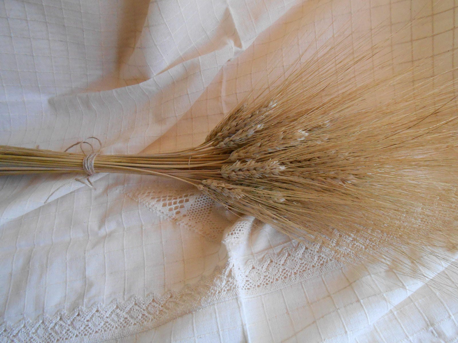 Decorative Wheat Dried Wheat Bundles Dried wheat bunch Etsy