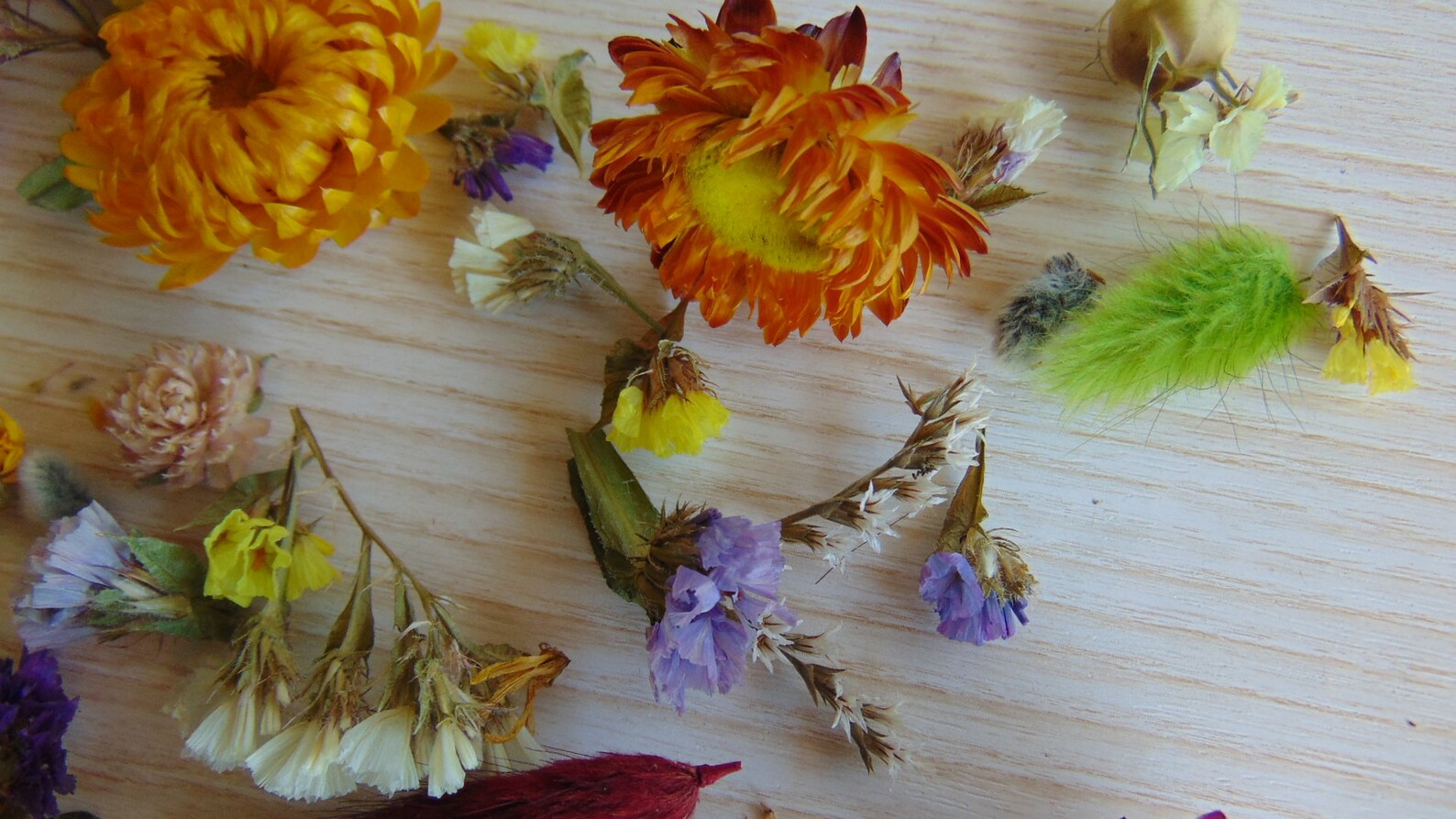 Mixed Dried Flowerssmall Dried Flowers for Craft Projects Etsy